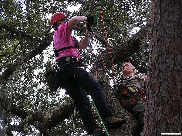 Jake Competing in the Aerial Rescue Event.<br/>Geezers In The Treezers January 2009