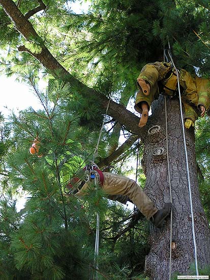 ? Hold On...I'm Coming ?<br/>Wyatt in Aerial Rescue Training