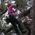 Jake Competing in the Aerial Rescue Event.<br/>Geezers In The Treezers January 2009