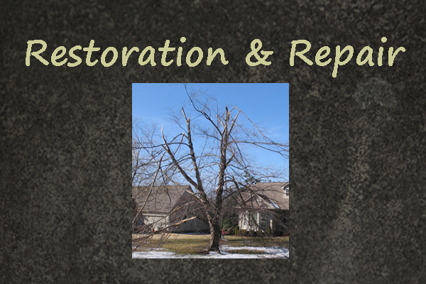 Tree Repair